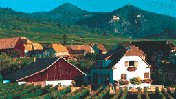 alsace hus landskap